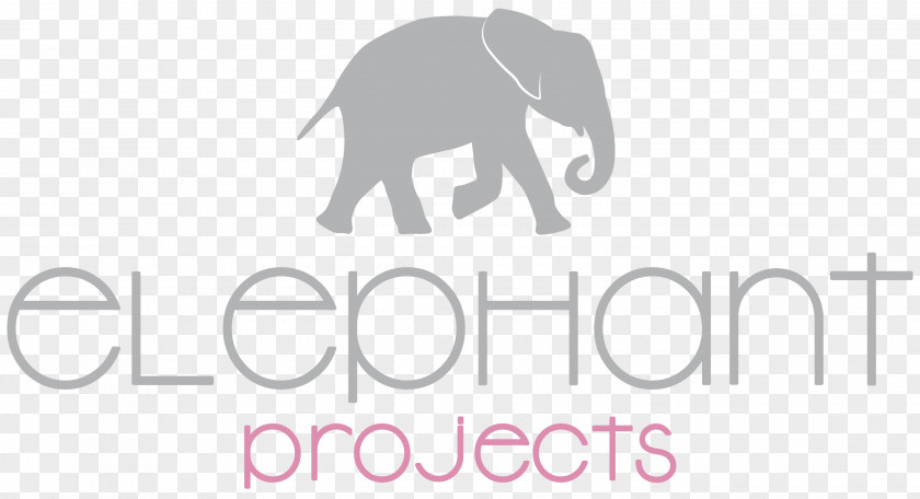 Design Elephant Projects D. Karin Tscholl Indian Project Management PNG