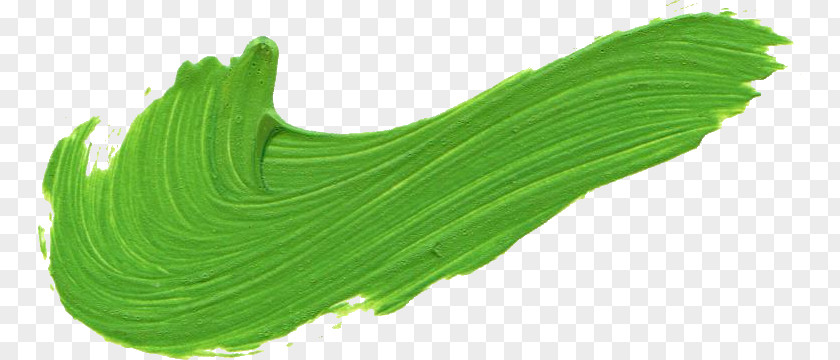 GREEN PAINT BRUSH Paintbrush PNG