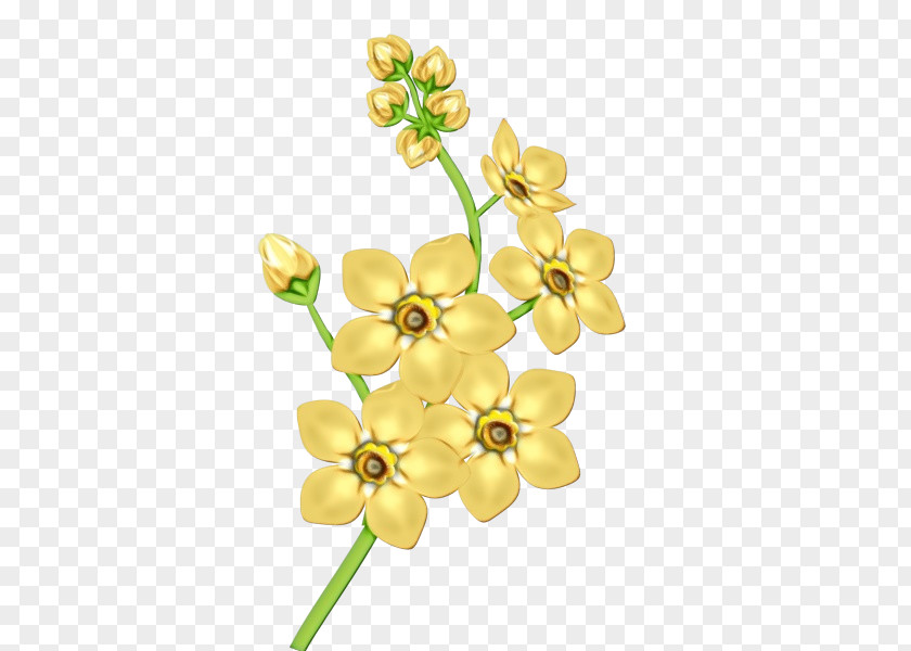 Plant Stem Floral Flower Background PNG