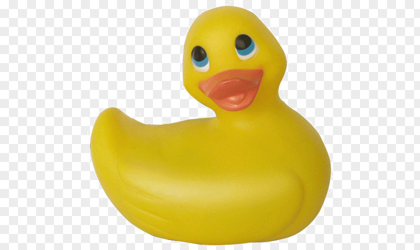 Plastic Livestock Duck Cartoon PNG