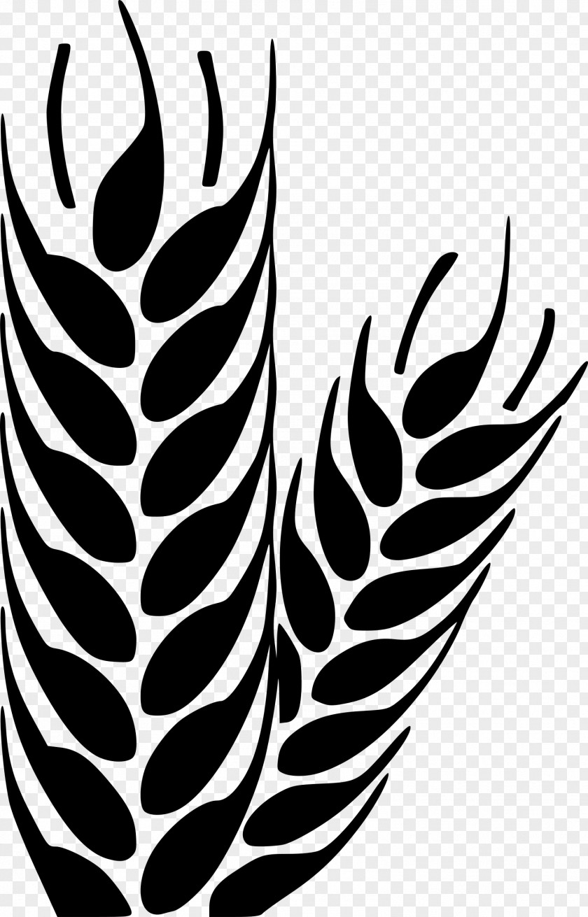 Clip Art Wheat PNG