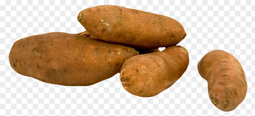 Fresh Sweet Potato Yam Russet Burbank PNG