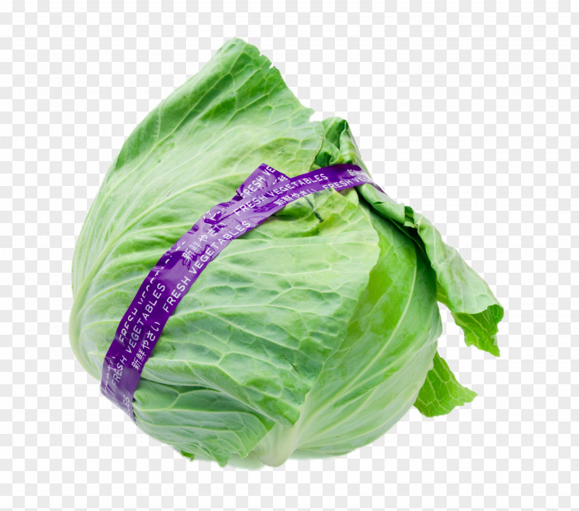 HD Boutique Cabbage Romaine Lettuce Vegetable Brussels Sprout PNG