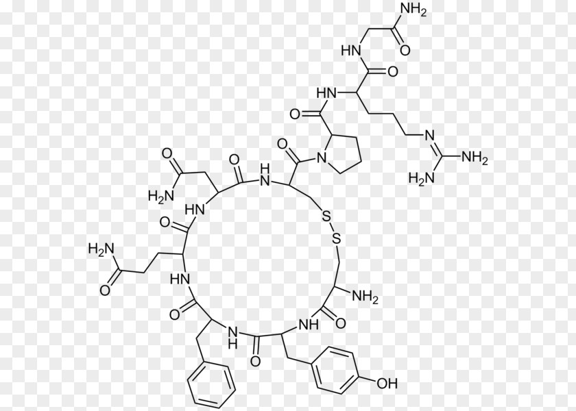 Oxytocin Vasopressin Antidiuretic Molecule Hormone Chemistry PNG