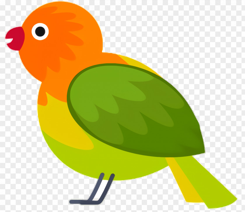 Parakeet Yellow Green Background PNG