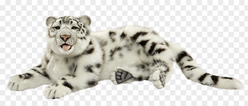 Snow Leopard Tiger Felidae Whiskers PNG