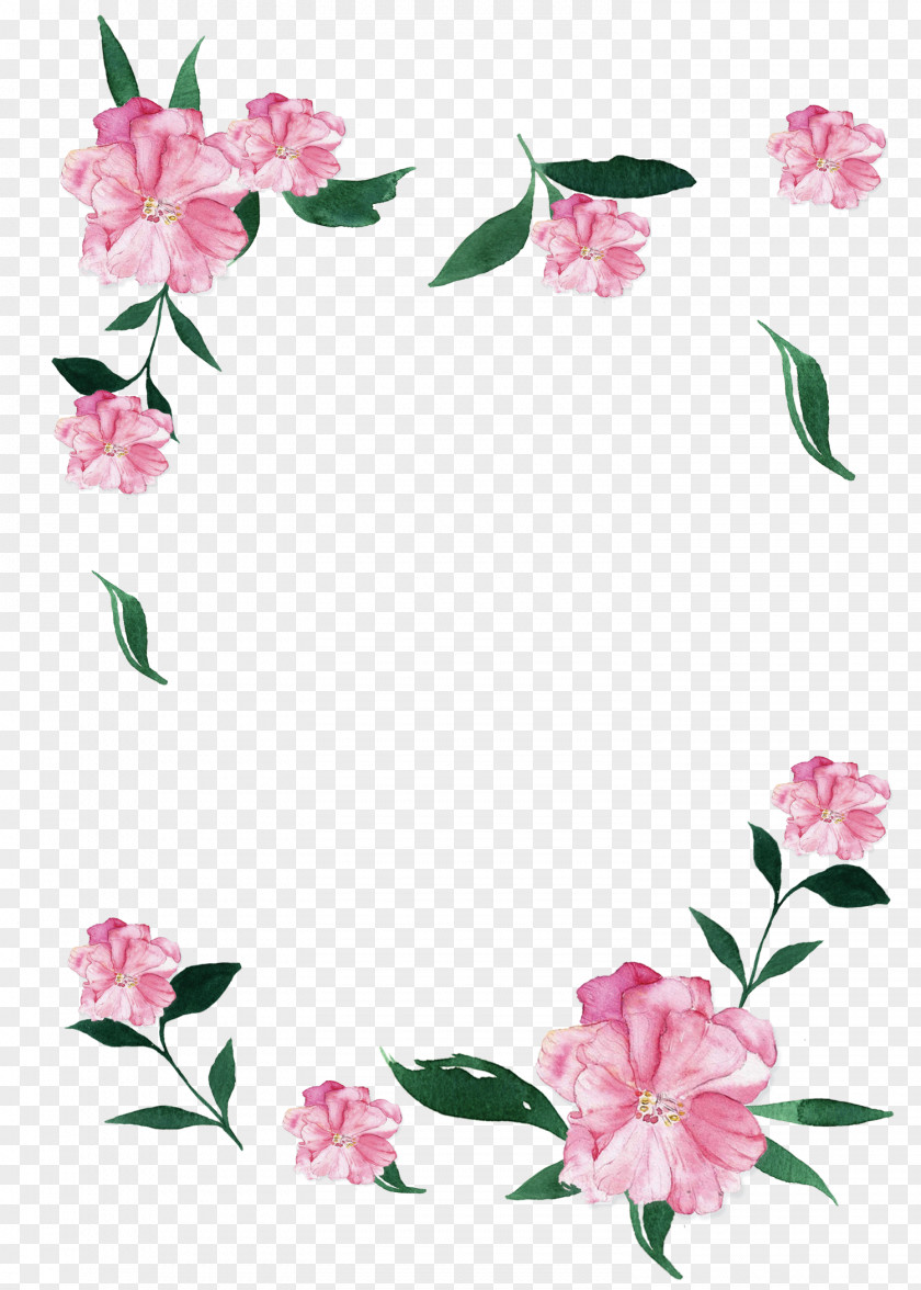 Flower Cut Flowers Color Skin Innisfree PNG