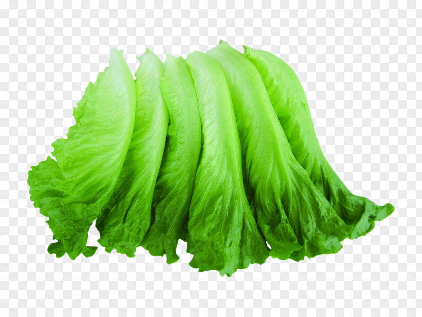 Green Vegetables Lettuce Salad Vegetable Machine Fruit PNG