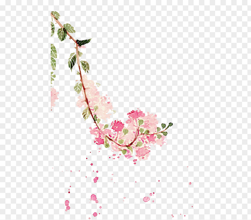 Watercolor Flowers Painting Crepe-myrtle Illustration PNG