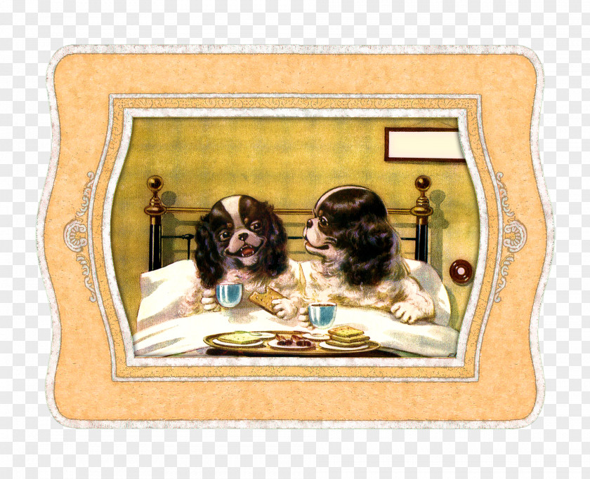 Bed Cavalier King Charles Spaniel Sheets Humour PNG