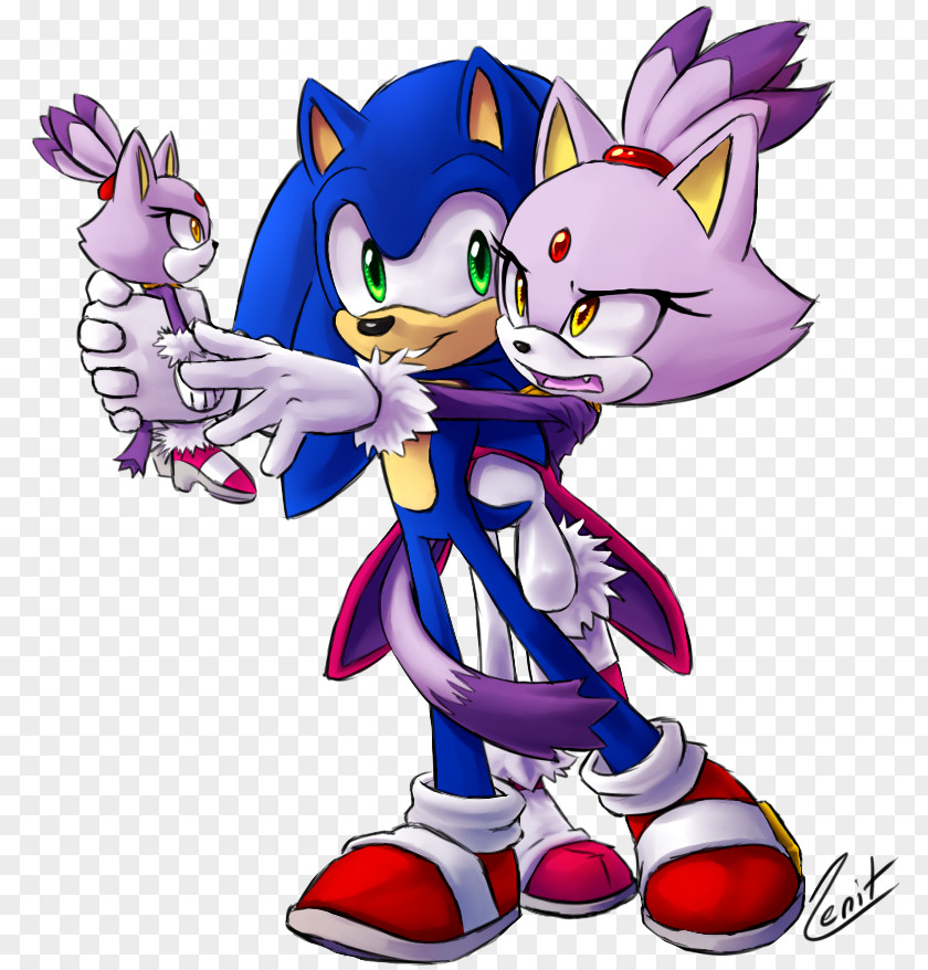 Blaze Sonic The Hedgehog Shadow Rush Amy Rose Cat PNG