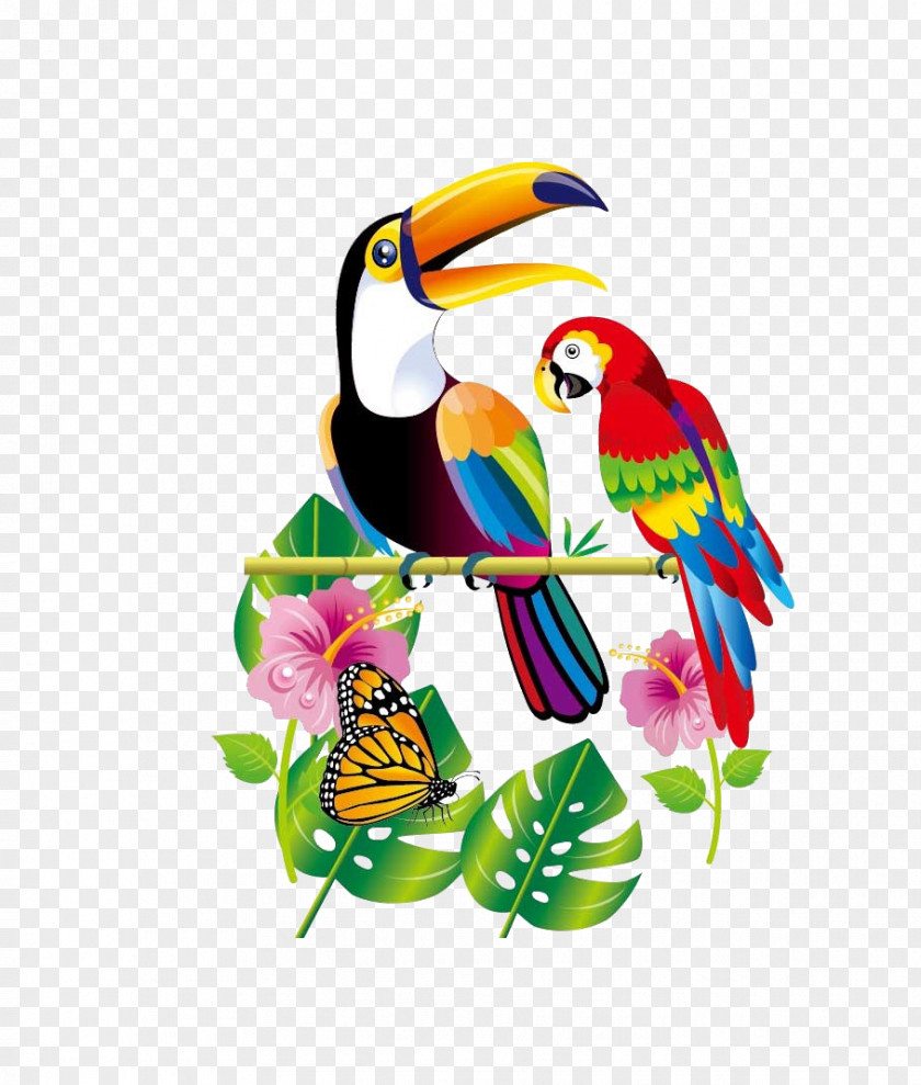 Flowers Parrot Bird Toucan PNG