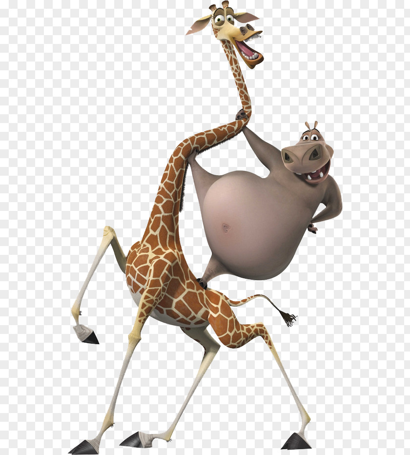 Giraffe Gloria Melman Alex Madagascar PNG