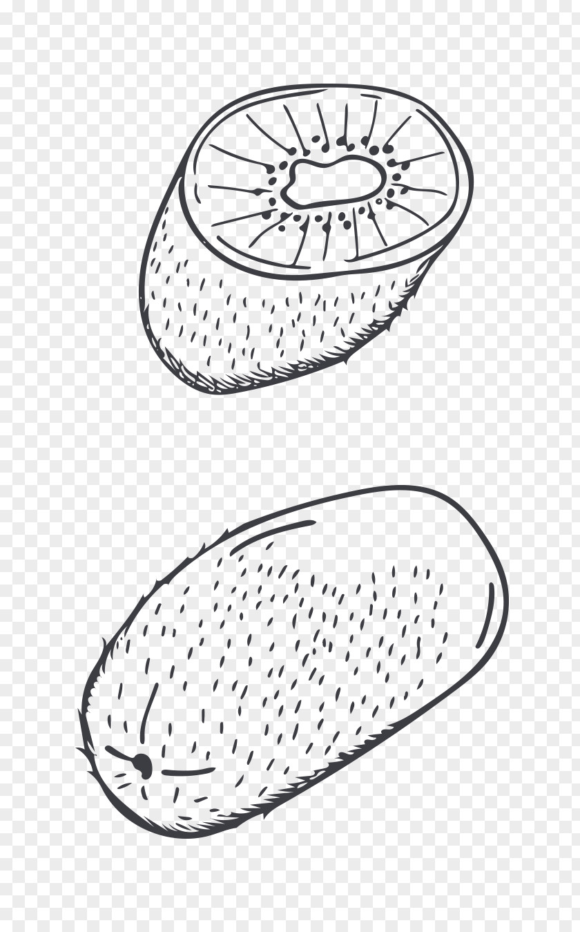 Hand-painted Cartoon Kiwi Fruit Kiwifruit Drawing PNG