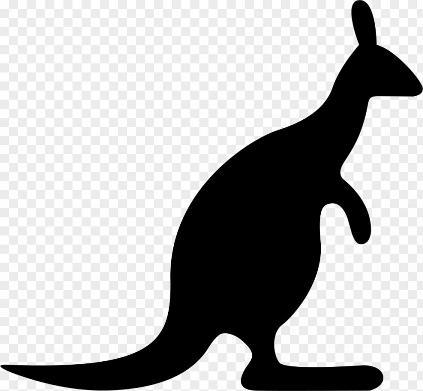 Kangaroo Australia Wombat PNG