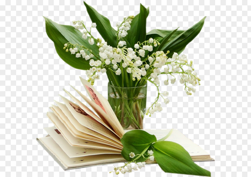 Lily Of The Valley 1 May Marriage Month PNG