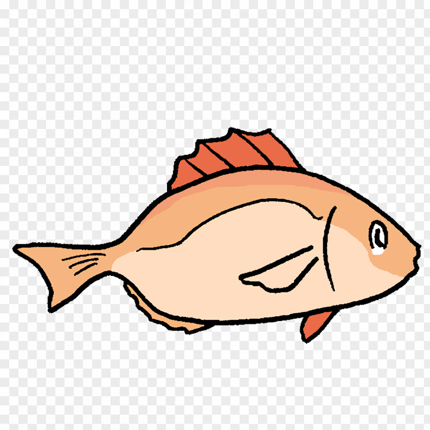 Cartoon Fish Products Line Tail PNG