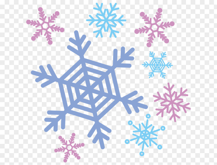 Snowflake Illustration Crystal Image PNG