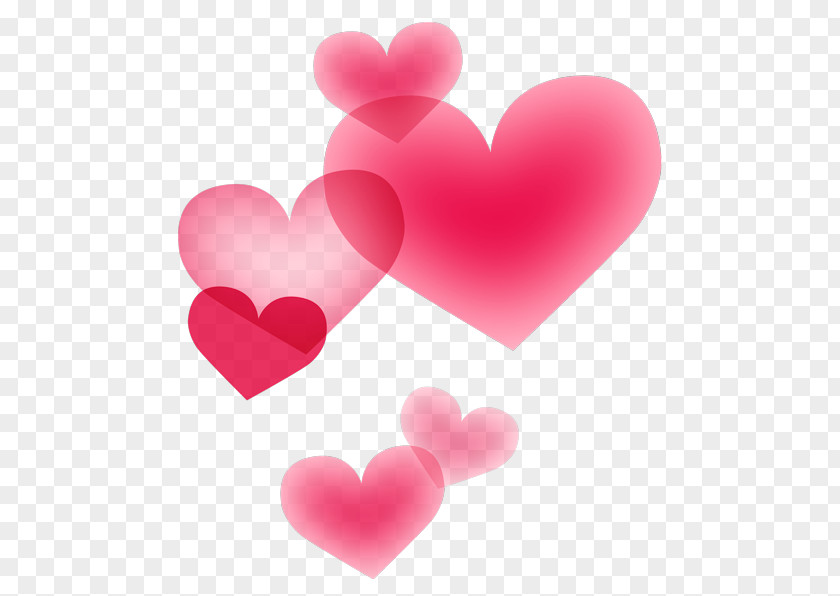 Valentines Celebration Valentine's Day Heart 14 February Love Image PNG
