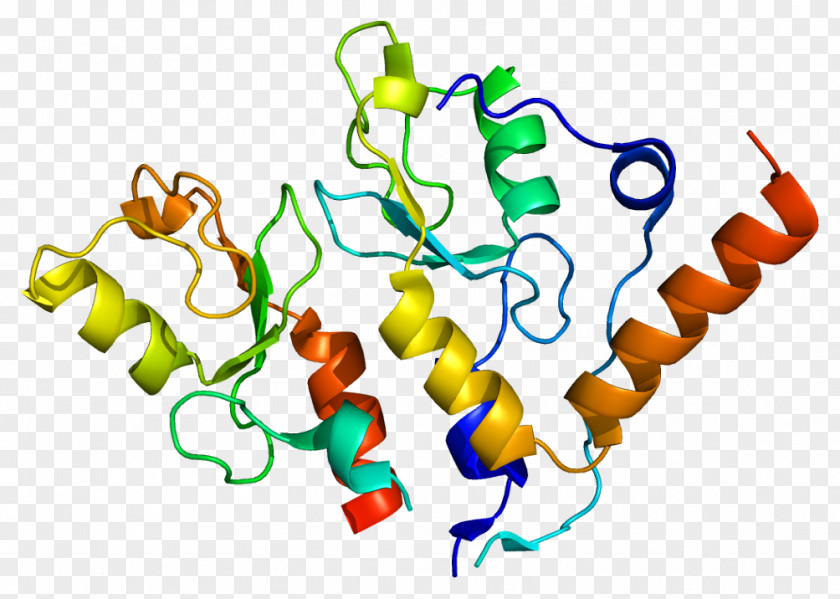 BMI1 Polycomb-group Proteins RING Finger Domain Stem Cell PNG