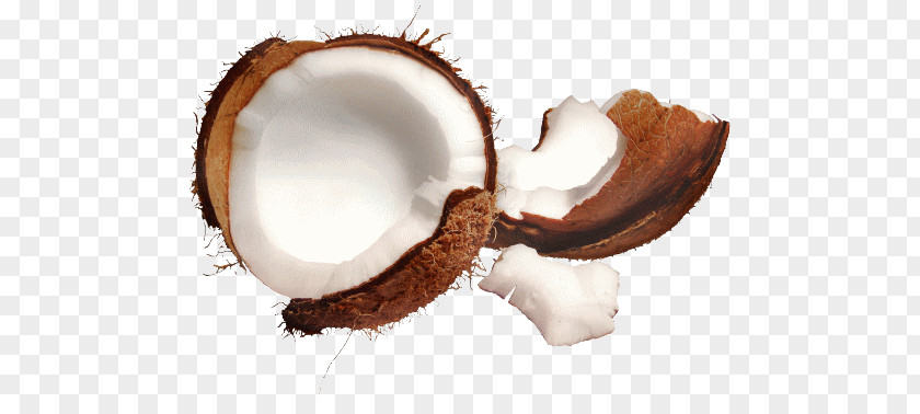 Coconut Desktop Wallpaper Milk High-definition Television Oil PNG