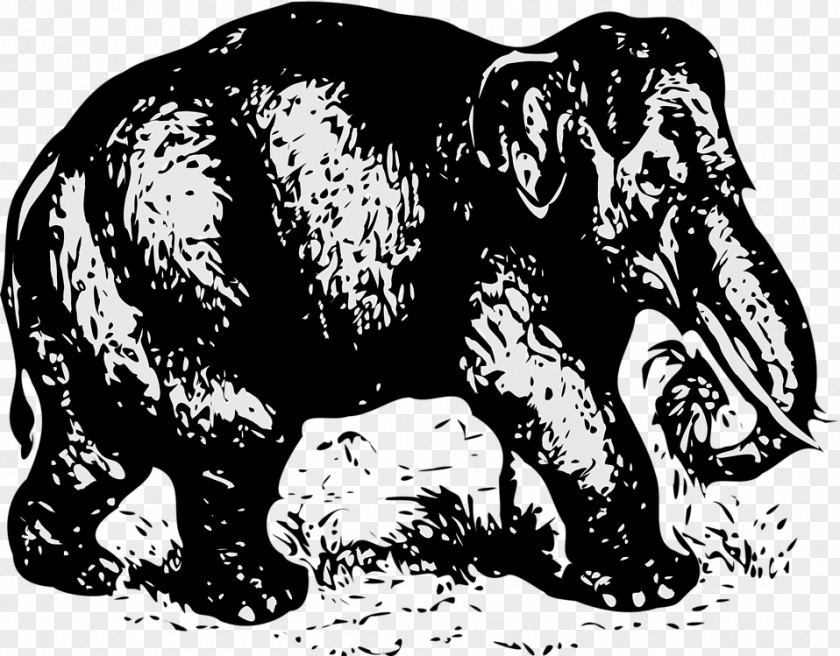 Elephant-border African Elephant Indian Clip Art PNG