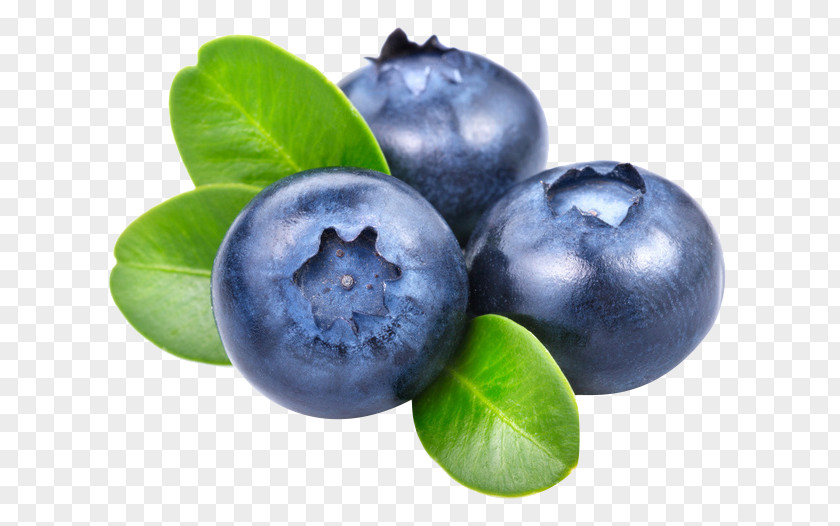 Fresh Blueberries Smoothie Frutti Di Bosco Blueberry Vaccinium Angustifolium PNG