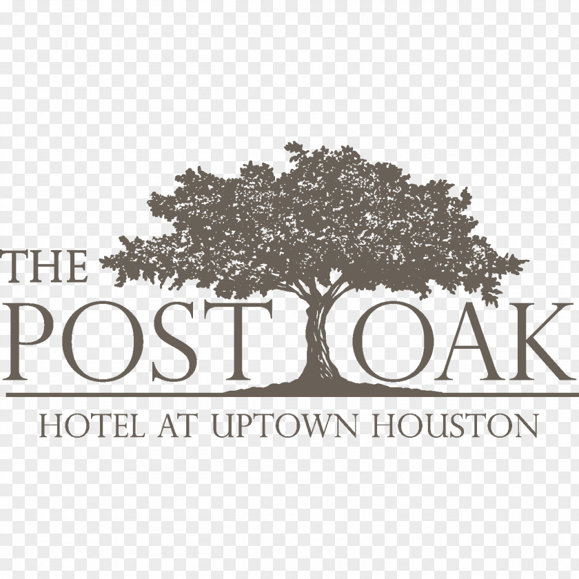 Hotel The Post Oak At Uptown Houston Hilton Garden Inn Houston/Galleria Area Boulevard PNG