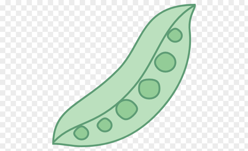 Pea Common Bean Color Green PNG