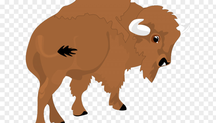 Bidon American Bison Water Buffalo Clip Art Cattle Free Content PNG