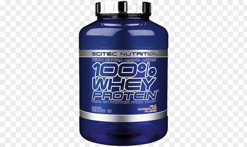 Dietary Supplement Whey Protein Isolate Nutrition PNG