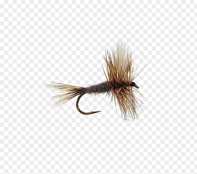 Fly Artificial Insect Wing Nymph PNG