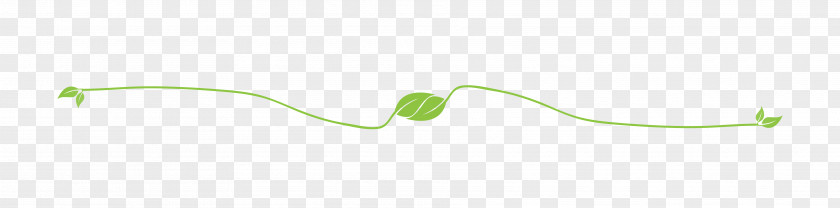 Leaf Grasses Plant Stem PNG