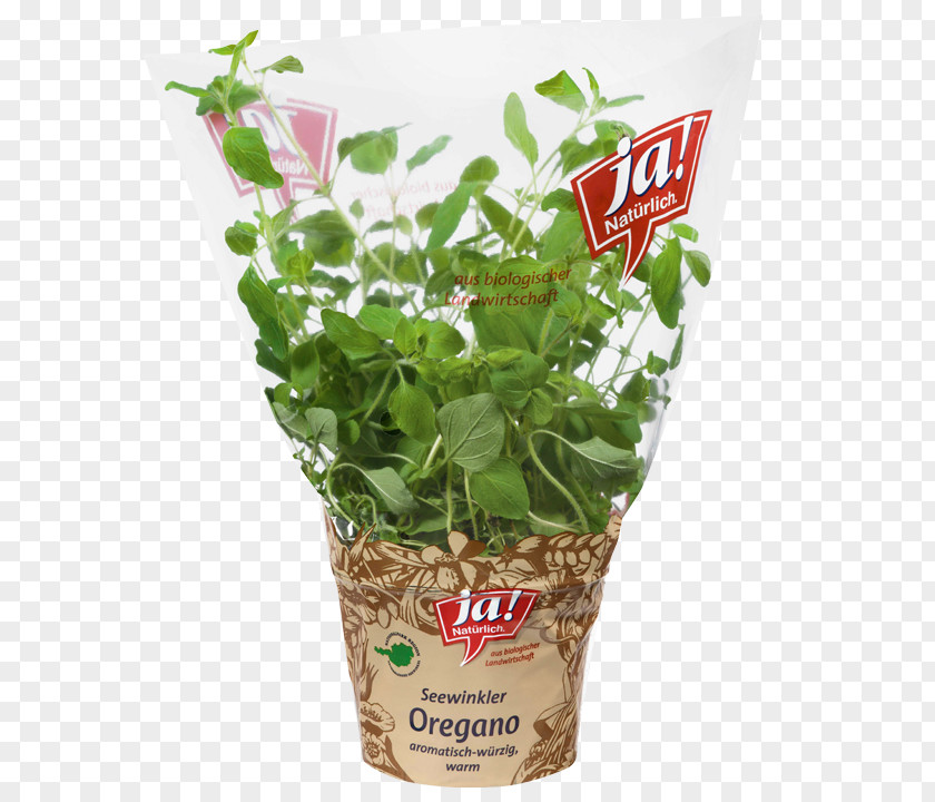 Marjoram Ja! Natürlich Herb Short Ribs MERKUR Warenhandels AG Flowerpot PNG