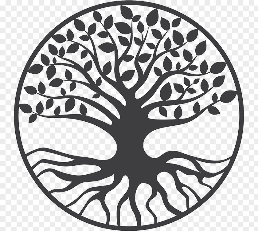 Yggdrasil Tree Of Life Drawing PNG