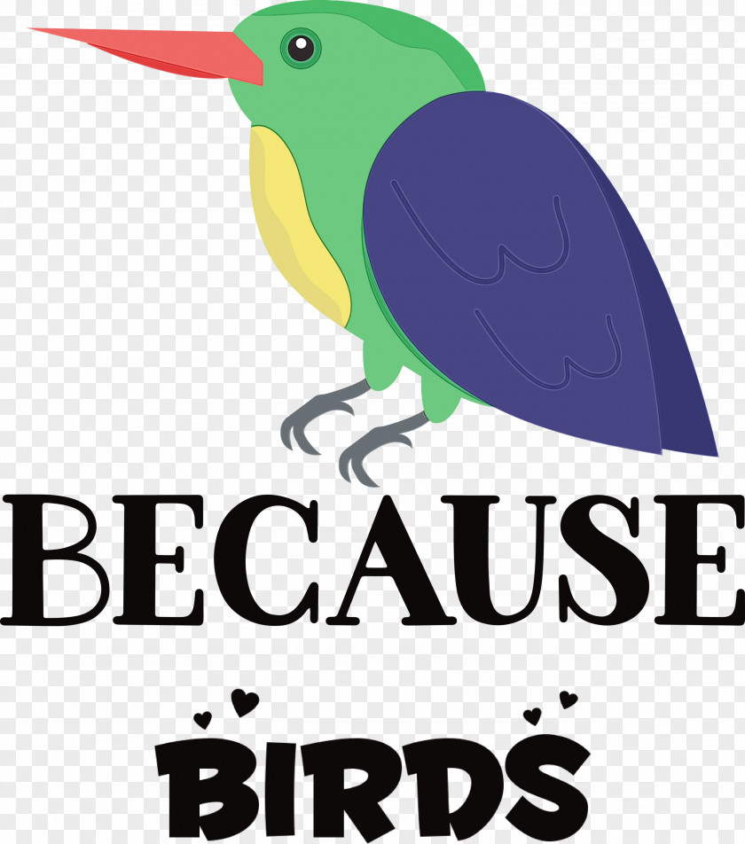 Birds Logo Beak Meter Line PNG