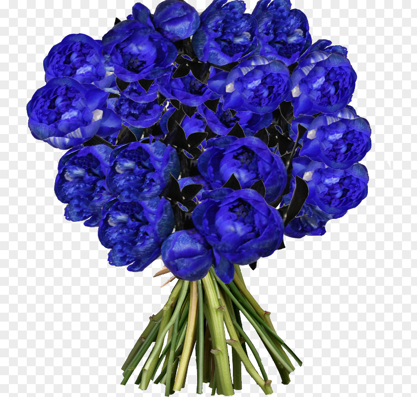 зайка ми Chinese Peony Flower Bouquet Blume PNG