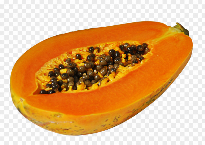 Cut Papaya Protease Apparato Digerente Eating Food PNG