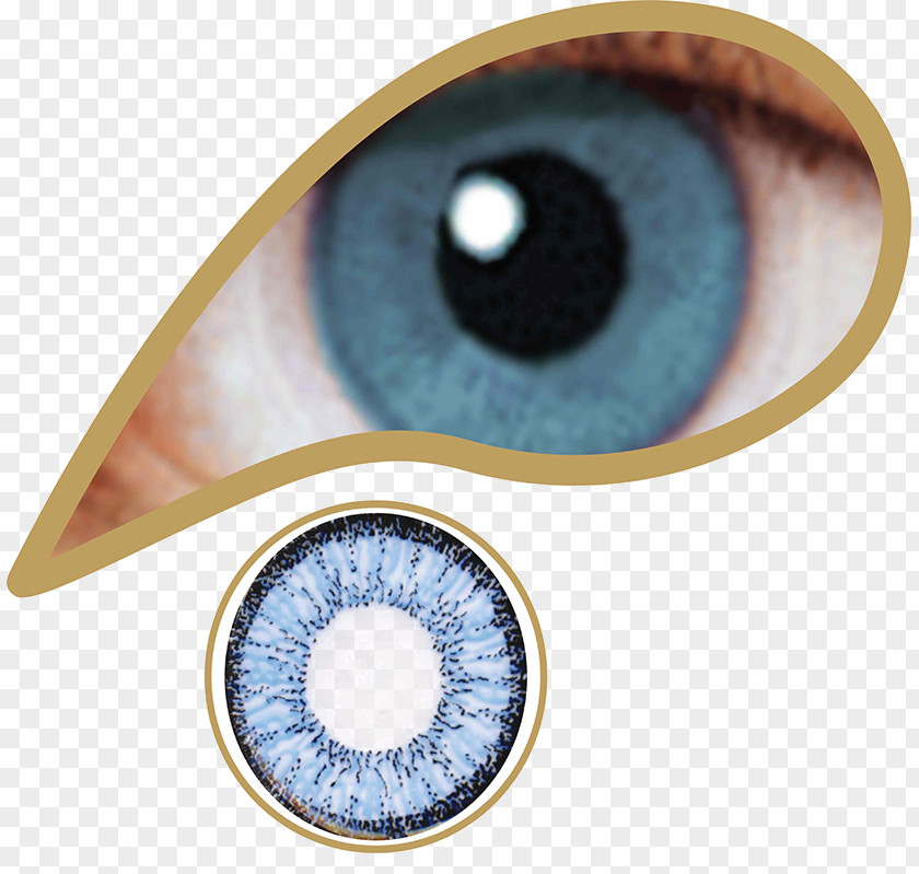 Eye Special Effects Halloween Contact Lenses Green Color PNG