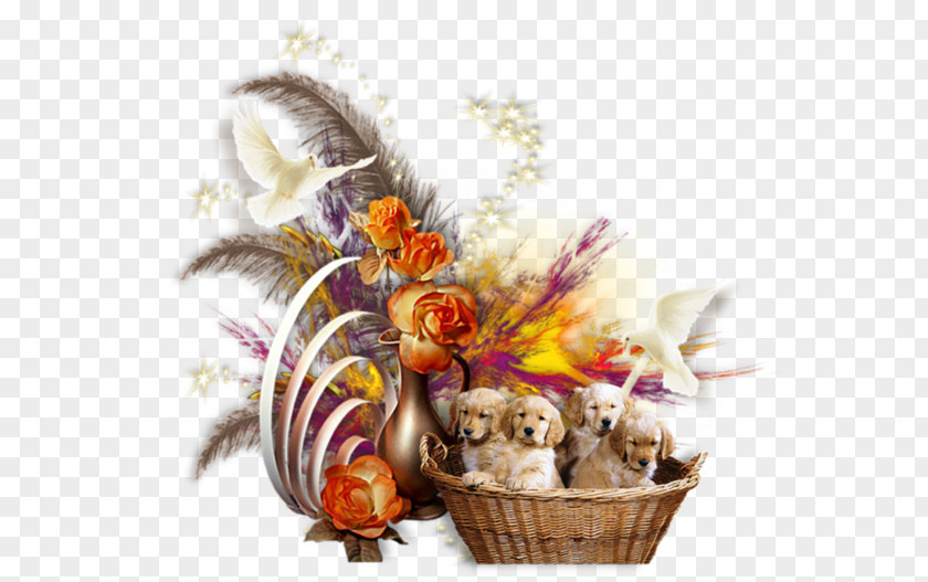 Gift Cut Flowers Food Baskets Leaf PNG