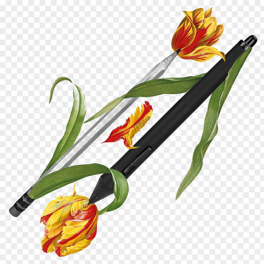 Hand-painted Flower Pen Flora Collage Art Pencil PNG