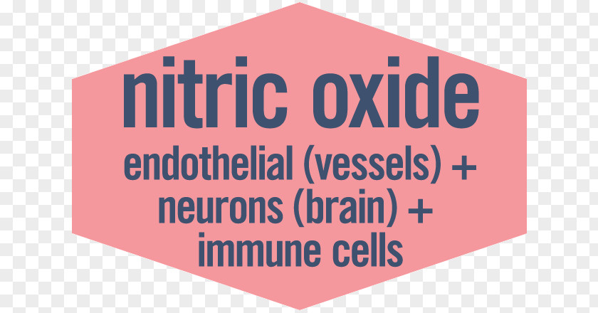 Nitric Oxide Endothelial Cells Logo Brand Greatest Hits Font Product PNG