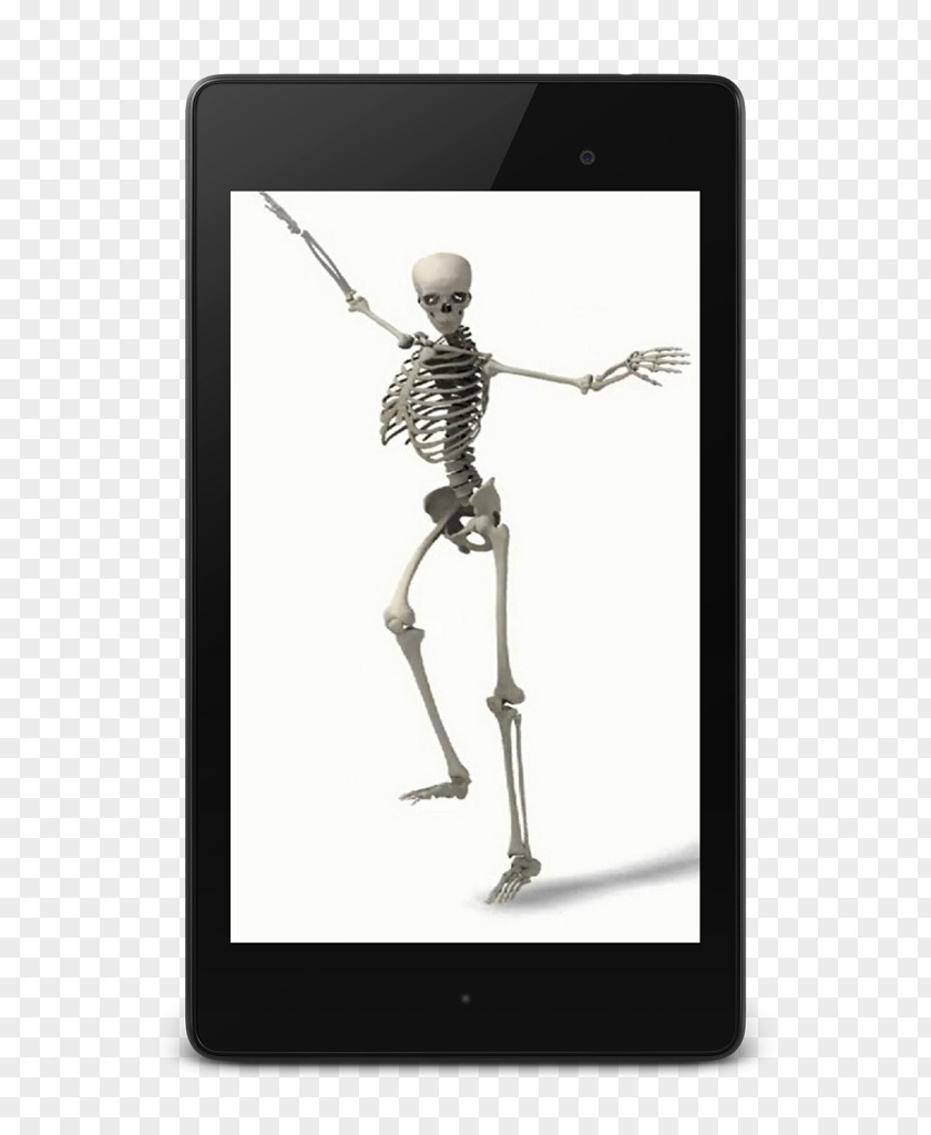 Skeleton Joint PNG