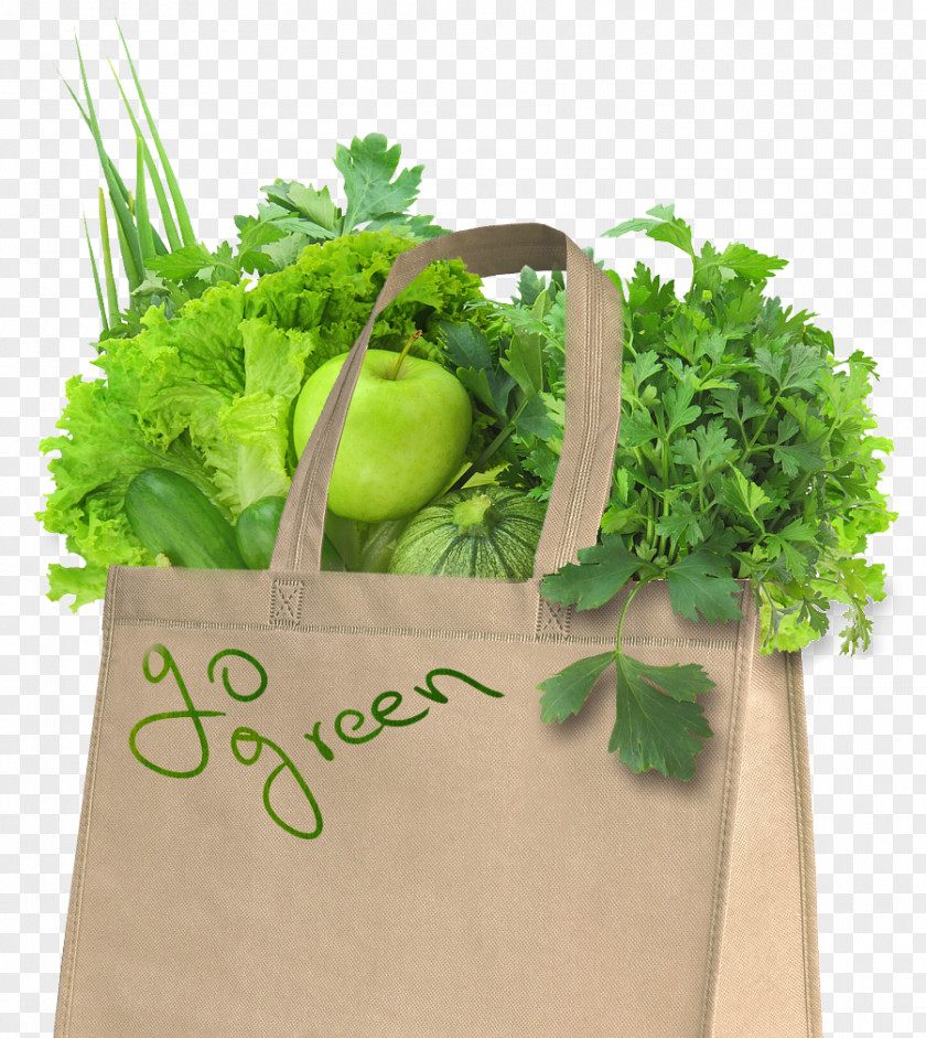 Vegetable Paper Bag Stock Photography Food Grocery Store PNG