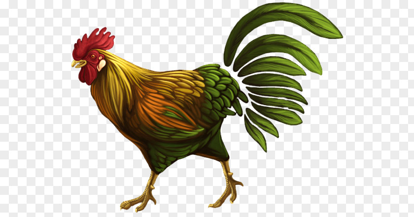 Chicken Rooster Drawing Clip Art PNG