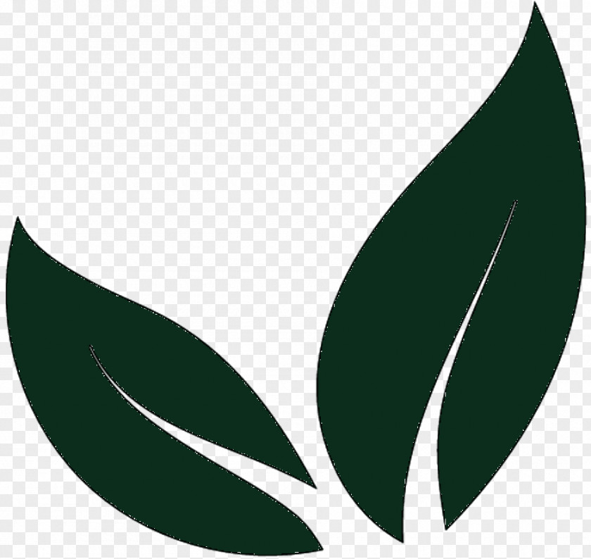 Clip Art Leaf Logo Product Design Line PNG