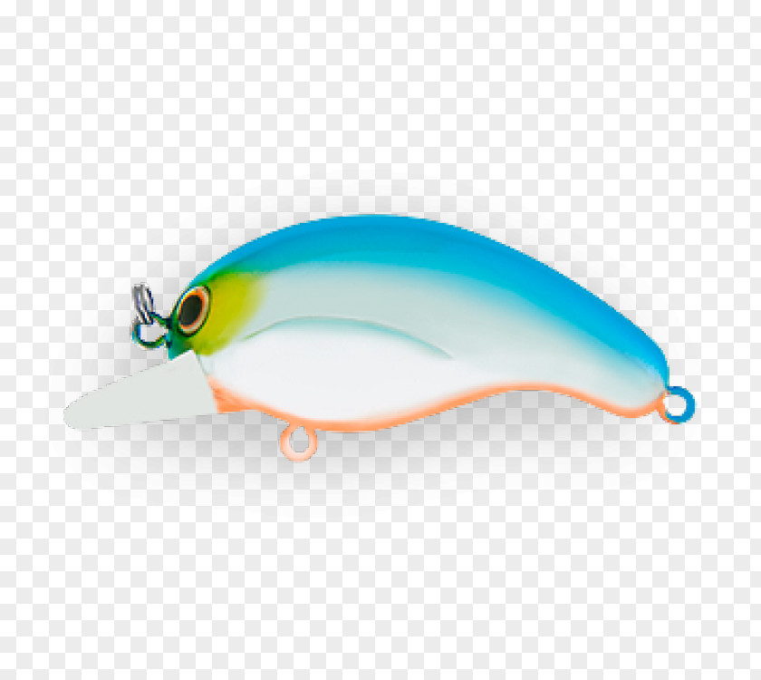 Design Spoon Lure Fish PNG