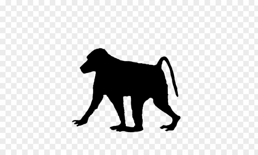 Homalocephale Dog Breed Baboons PNG