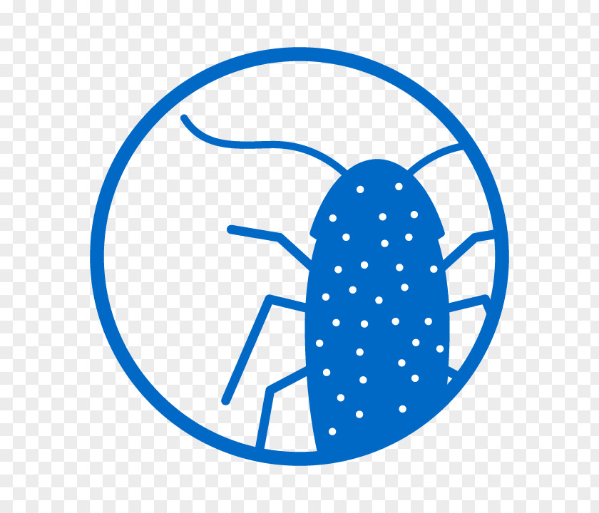 Oval Blue Web Design PNG