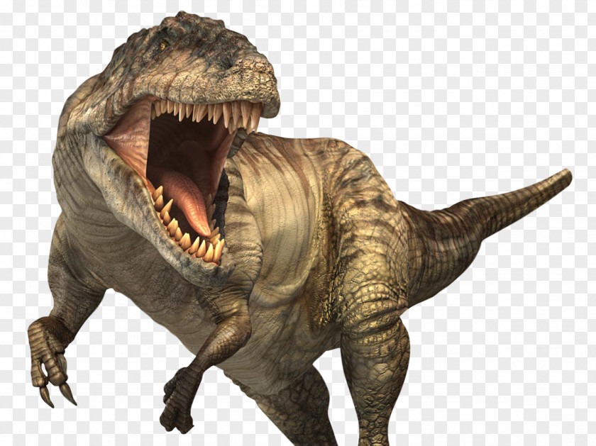 T-rex Giganotosaurus Tyrannosaurus Diplodocus Gigantosaurus Standee PNG